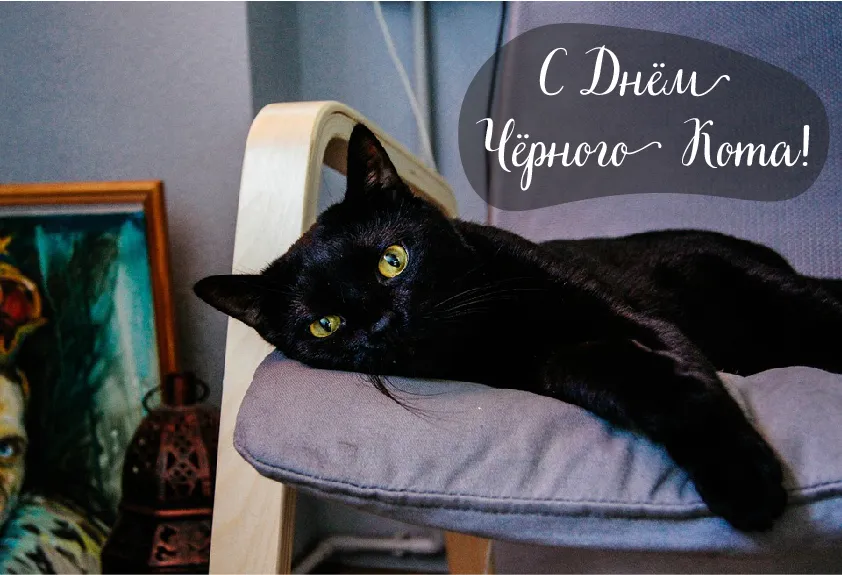 Открытка День черного кота - Чёрный кот на открытке: милый подарок | Красивая открытка #4