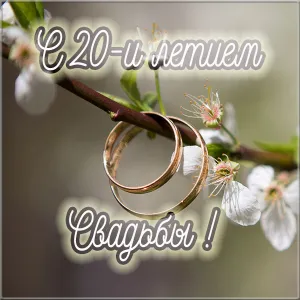 Открытка Открытки на Фарфоровую свадьбу 20 лет - Свадебные кольца на цветущей ветке | Красивая открытка #41