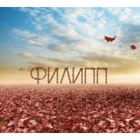 Открытка Открытки с именем Филлип - Цветы сакуры, красные листья, закат | Красивая открытка #157