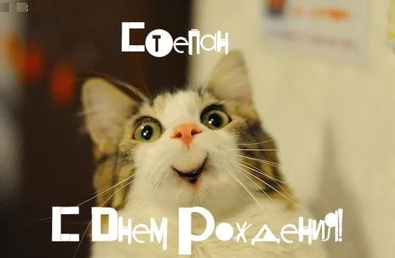 Открытка Открытки с именем Степан - С Днём Рождения! Весёлый котик - открытка | Красивая открытка #264