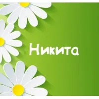 Открытка Открытки с именем Никита - Открытка с ромашками и надписью "Никита" | Красивая открытка #271