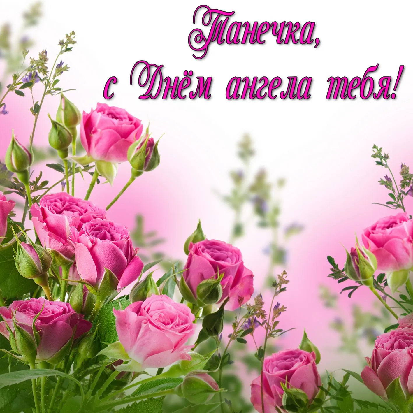 Открытка С розовыми розами - Розовые розы на фоне нежно-розового цвета | Красивая открытка #32