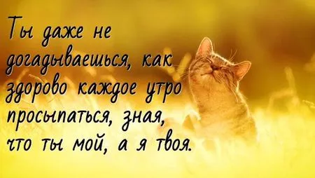 Открытка Для любимого - Котенок на закате: открытка с милым котиком | Красивая открытка #63