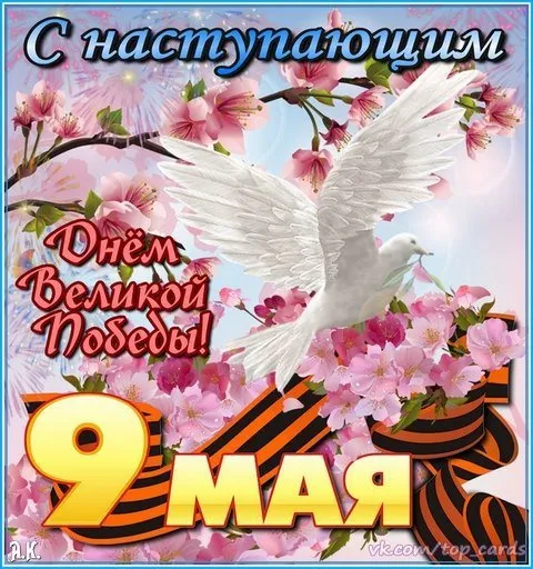Открытка 9 мая - 9 мая: Открытка с голубем и цветами | Красивая открытка #197