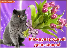 Открытка День Кошек - Открытка с серым котом и тюльпанами | Красивая открытка #49