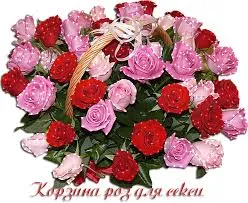 Открытка Открытки с цветами - Корзина роз: красные и розовые цветы | Красивая открытка #212