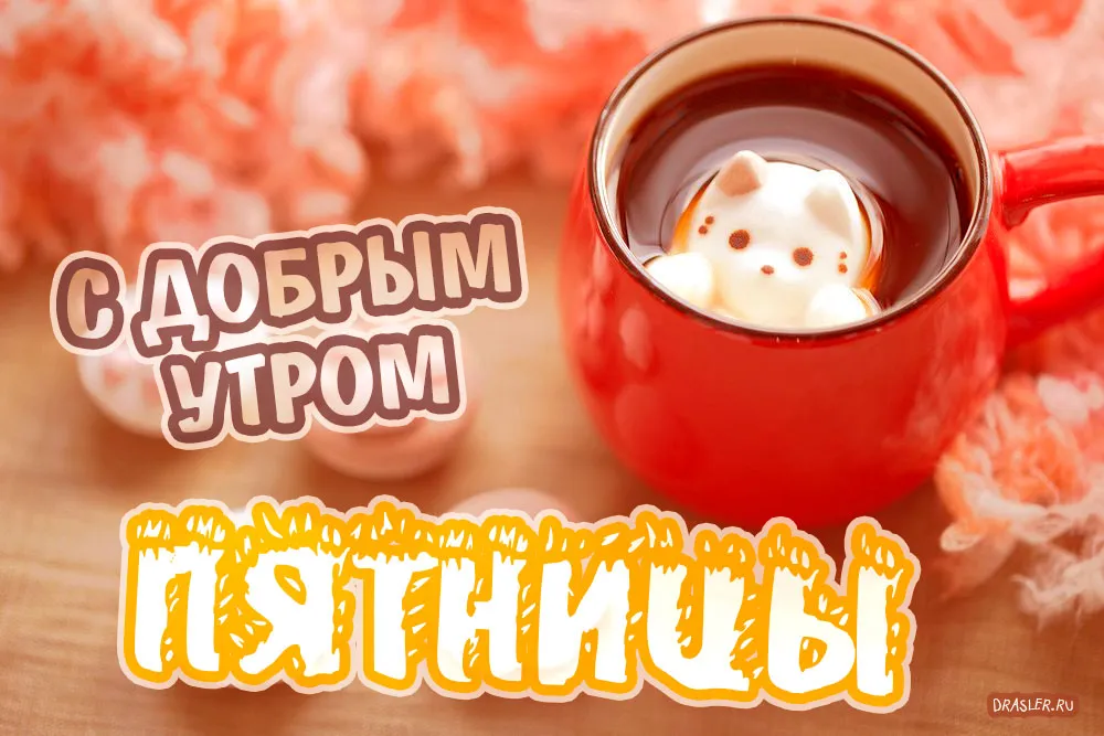Открытка Доброе утро пятница - С Днём Открытки! - купить открытки с котиком | Красивая открытка #29