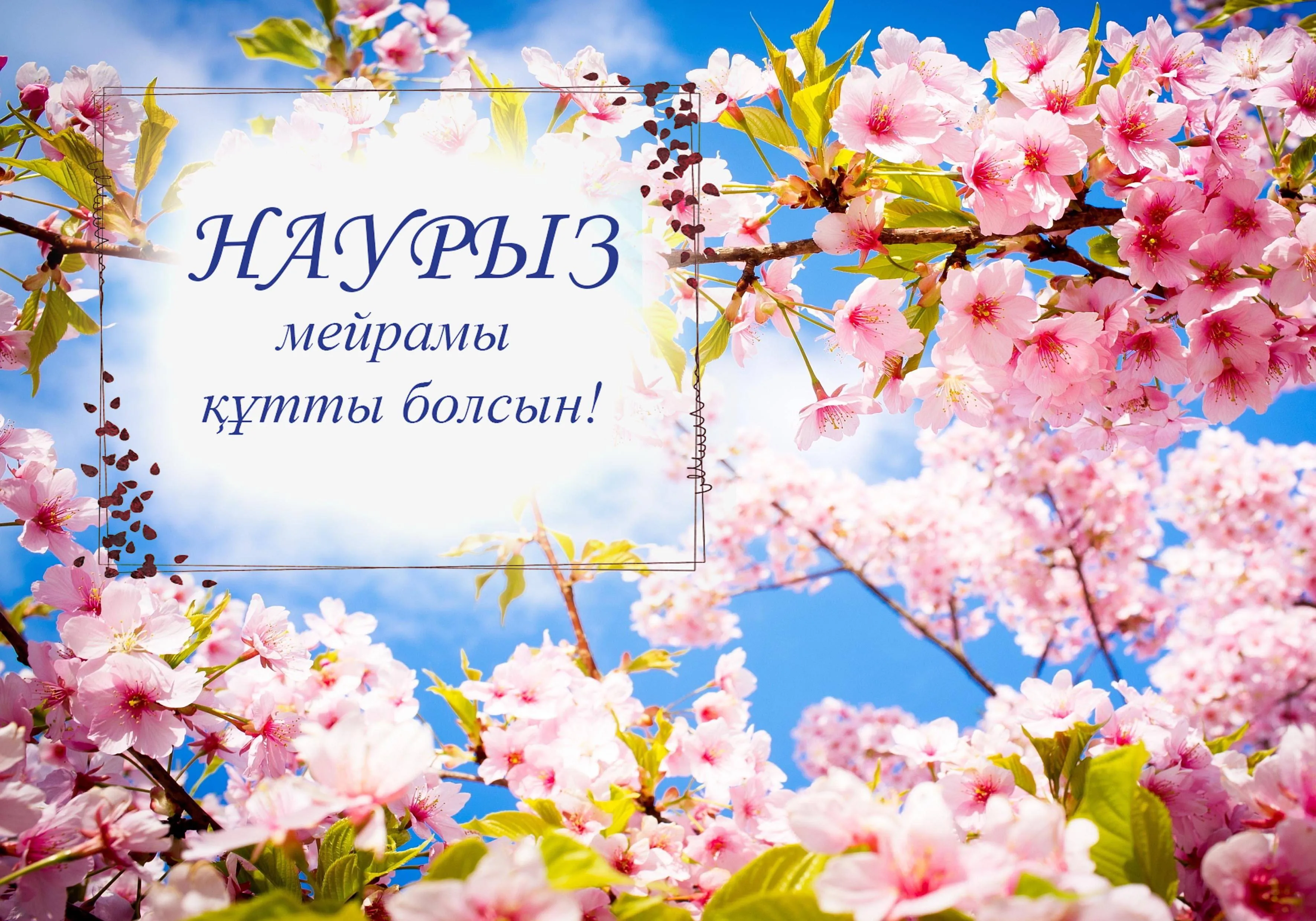 Открытка Наурыз - Цветущая вишня: открытка с праздничным настроением | Красивая открытка #89