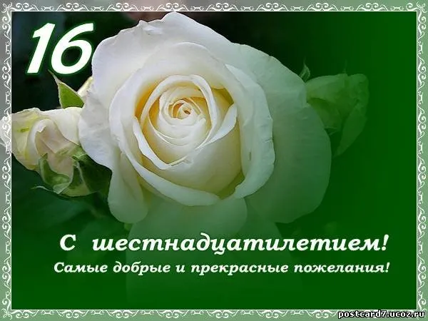 Открытка Открытки на 16 лет - Открытка с цветком: нежные пожелания и поздравления | Красивая открытка #56