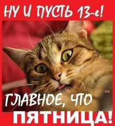 Открытка Открытки на пятницу 13 - Котенок с языком: забавная открытка! | Красивая открытка #146