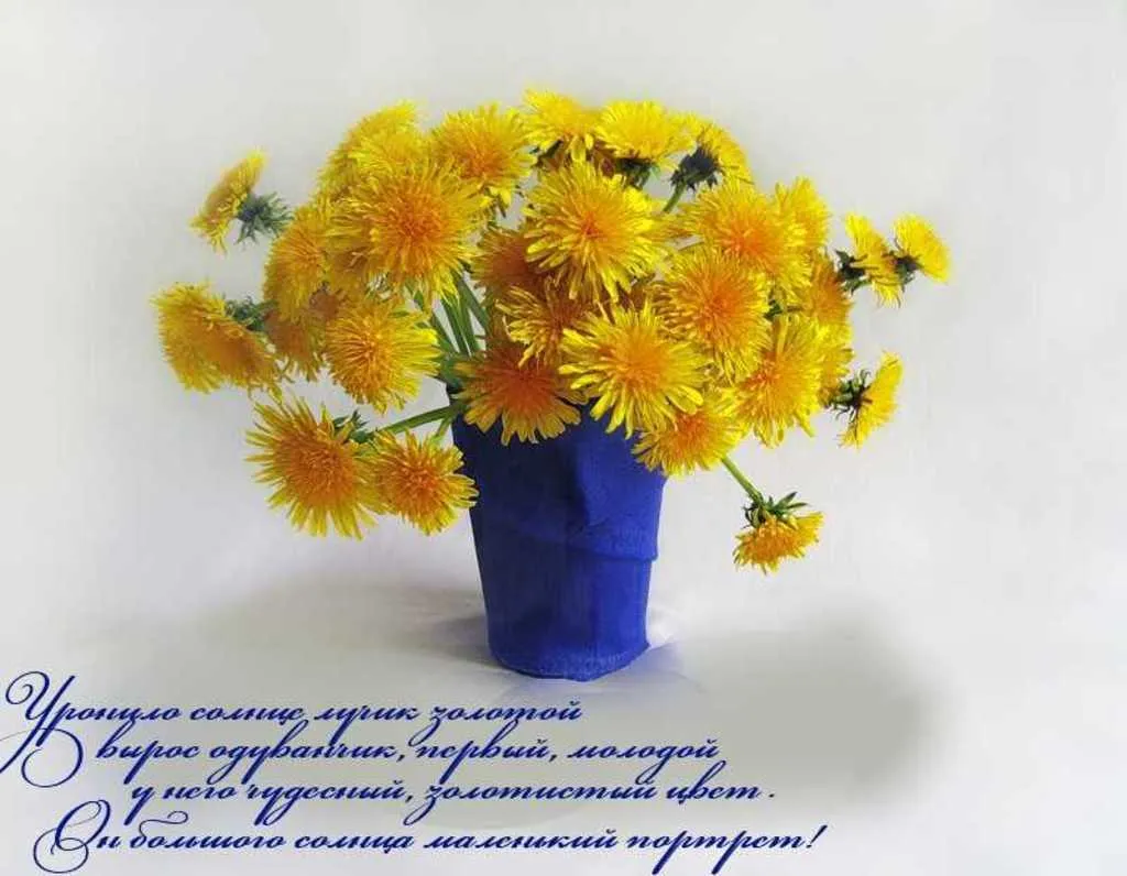 Открытка С одуванчиками - Полевые цветы в вазе: яркая открытка с одуванчиками | Красивая открытка #13