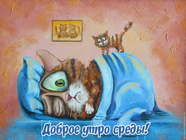 Открытка Открытки на среду - Открытка "Доброе утро, среда!": Милый кот, голубое одеяло | Красивая открытка #174
