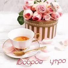 Открытка открытки с добрым утром - Розовые розы в чашке: открытка с добрым утром | Красивая открытка #282
