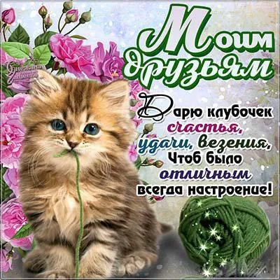 Открытка Открытки о дружбе - Открытка с котенком и цветами | Красивая открытка #93
