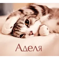 Открытка Открытки с именем Адель - Симпатичный котенок на открытке | Красивая открытка #176