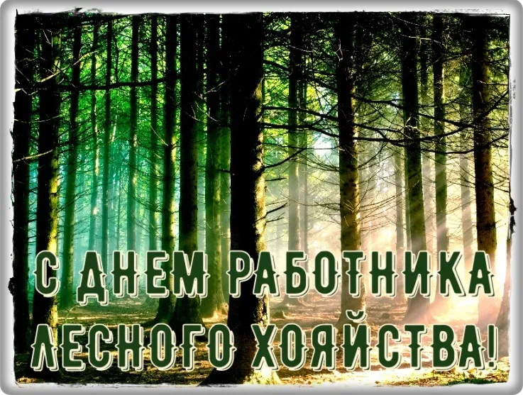 Открытка С днём работника леса - С Днем Лесника: Открытка с лесным пейзажем | Красивая открытка #11