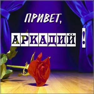 Открытка открытки с именем Аркадий  - Красная роза на фиолетовом фоне  открытка | Красивая открытка #144