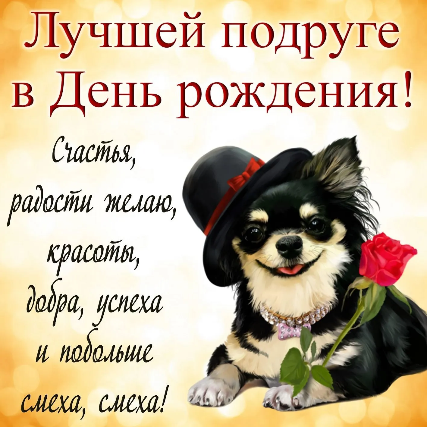Открытка с днем рождения подруга - смех
Собачка с букетом для поздравления с днем рождения | Красивая открытка #5