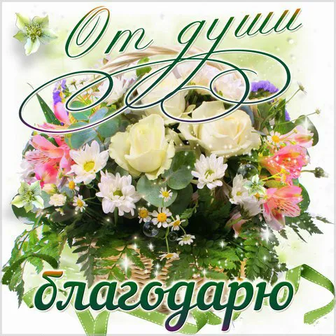 Открытка Спасибо - Открытка с цветами: розы, ромашки, зелень | Красивая открытка #67