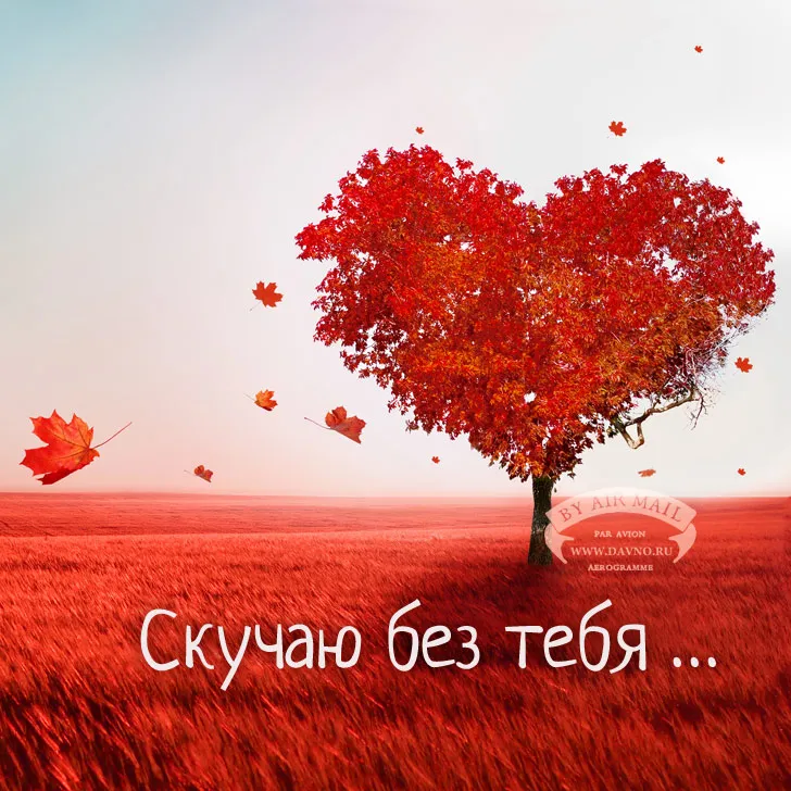 Открытка Я по тебе скучаю - Красное дерево на фоне пшеничного поля. Открытка с осенними листьями | Красивая открытка #4