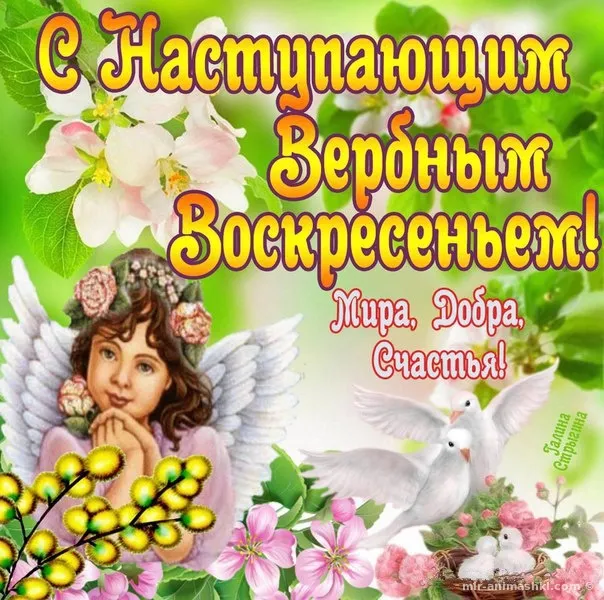Открытка С вербным воскресеньем - Ангел с цветами: открытка, изображение, анимация | Красивая открытка #231