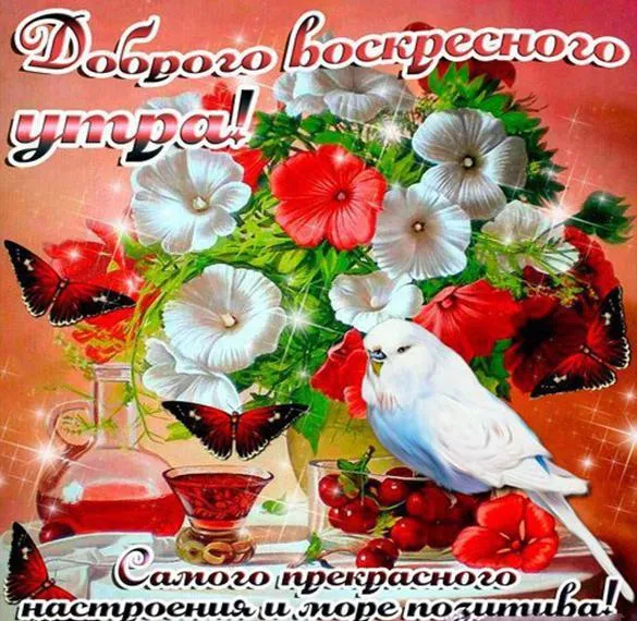 Открытка Доброе утро воскресенье - Очаровательные цветы и бабочки: Красивая открытка с птицей | Красивая открытка #33