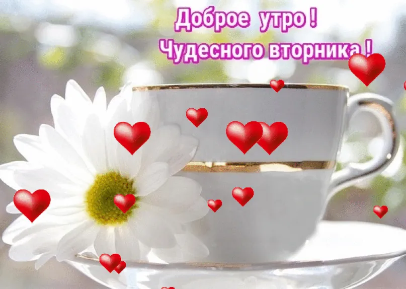 Открытка Доброе утро вторник - Утро с цветами и чашкой чая. | Красивая открытка #37