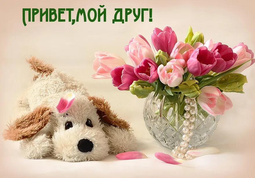 Открытка Привет другу/подруге - Открытка с щенком и тюльпанами | Красивая открытка #9