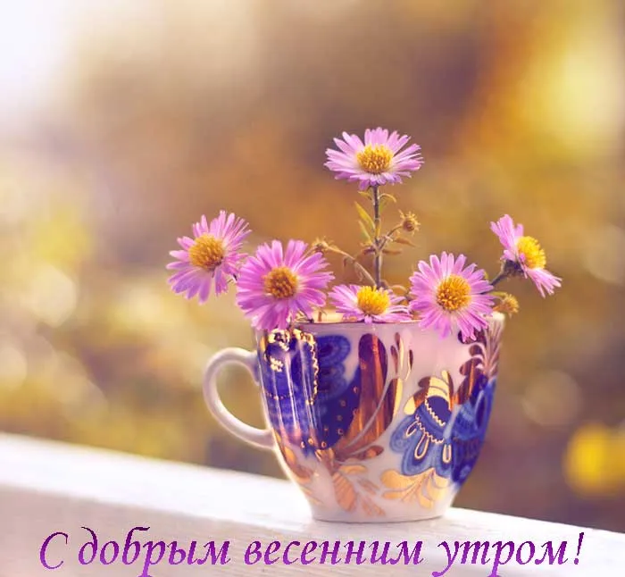 Открытка доброе весеннее утро - Открытка с цветами в чашке: нежные фиолетовые цветы | Красивая открытка #2