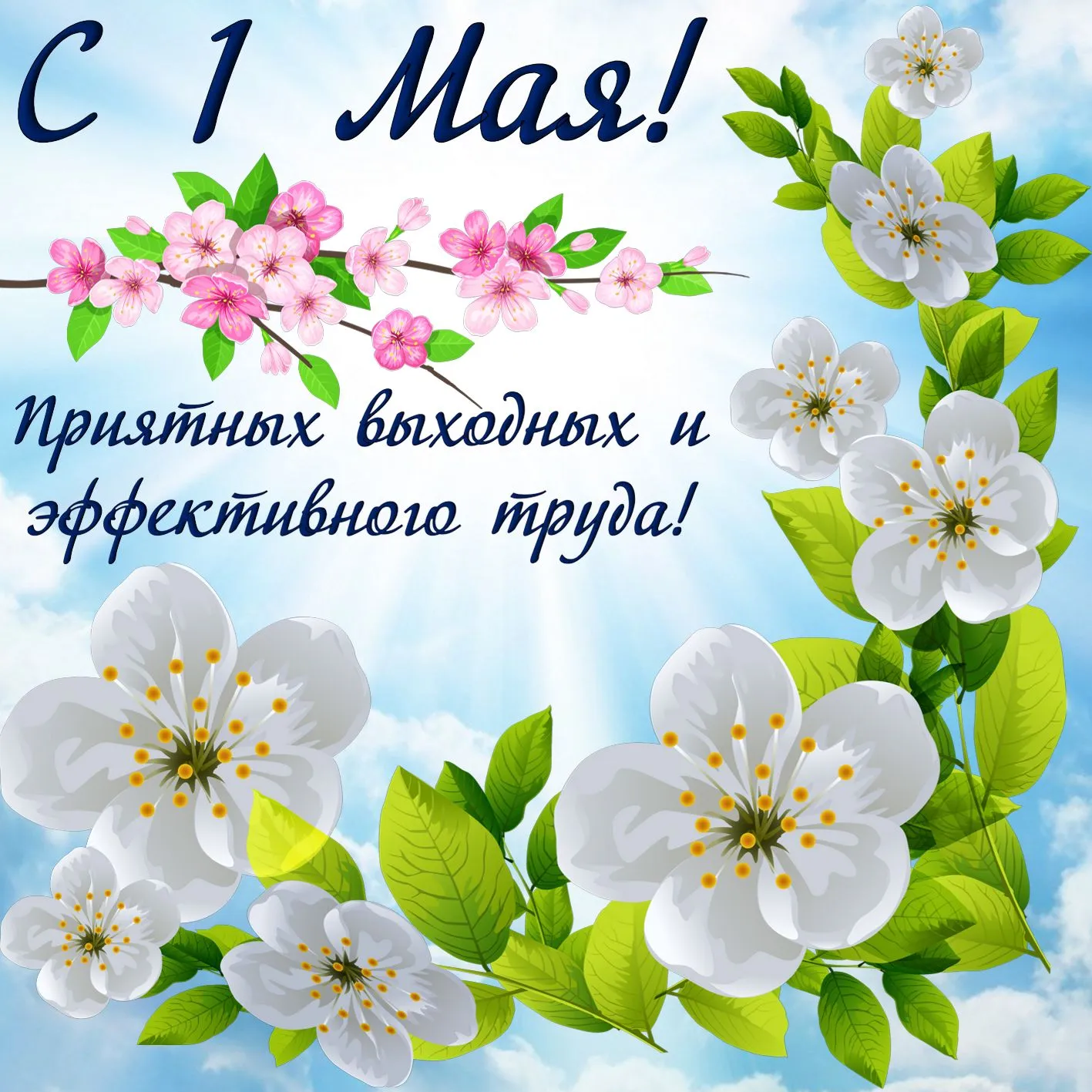 Открытка 1 мая - Цветущая весна: открытка с сакурой | Красивая открытка #254