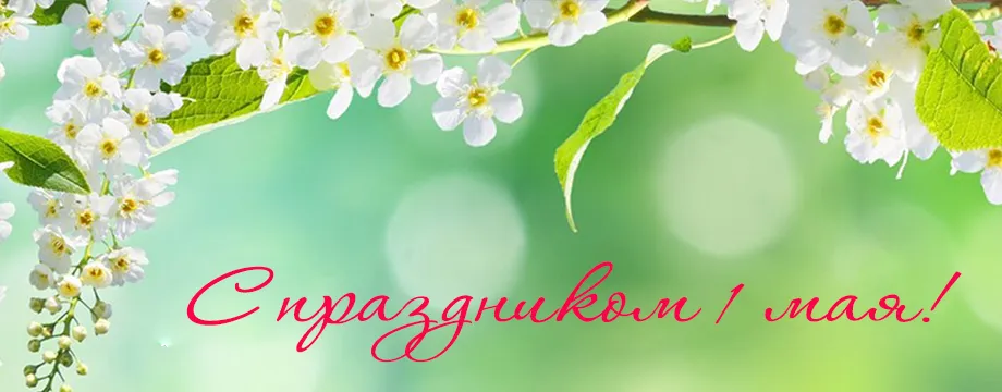 Открытка 1 мая - Цветущая весна: открытка с цветами | Красивая открытка #82