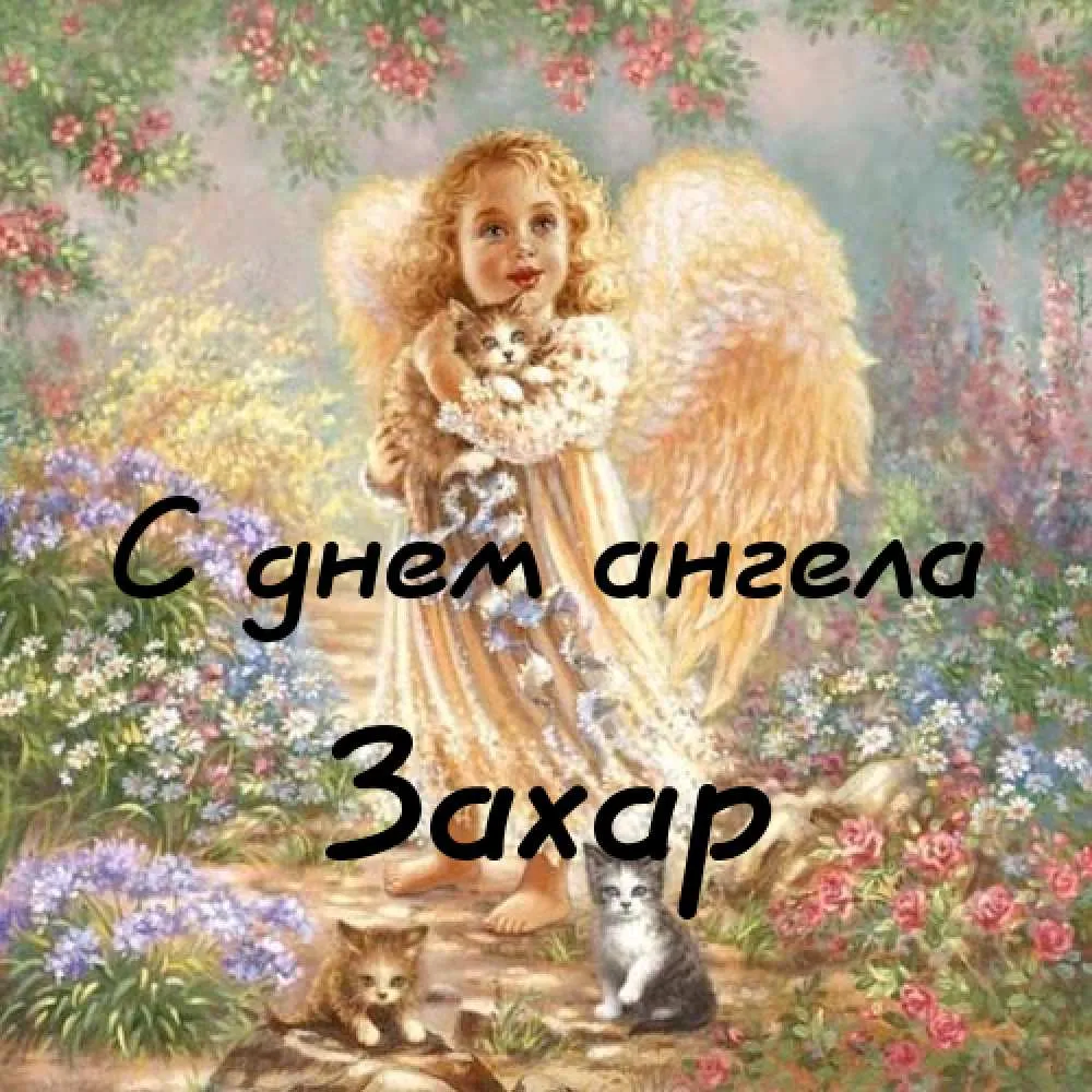 Открытка открытки с именем Захар - Открытка с ангелом и котятами  Поздравление | Красивая открытка #40