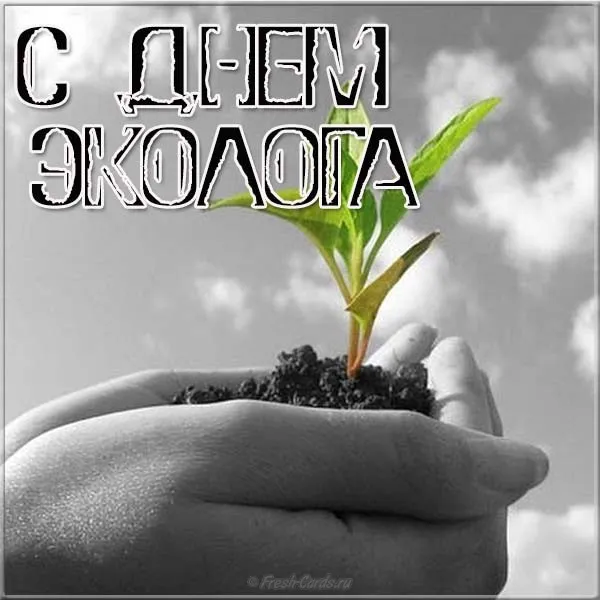 Открытка День эколога - Рассада в руках: открытка в черно-белой гамме | Красивая открытка #62