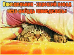 Открытка Открытки на понедельник - Кот под одеялом: милая открытка с котиком | Красивая открытка #72