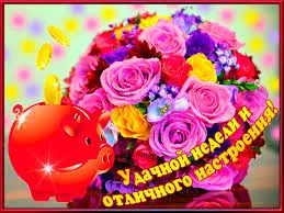 Открытка Открытки удачной недели - Открытка с цветами и свинкой: поздравления с праздником | Красивая открытка #199