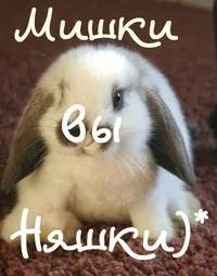 Открытка Открытки с именем Михаил  - Милый кролик: открытка с пушистым ушком | Красивая открытка #102