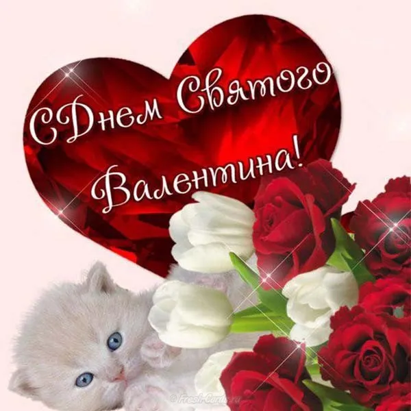 Открытка 14 февраля День влюблённых - Открытка с котенком и розами на День святого Валентина | Красивая открытка #90