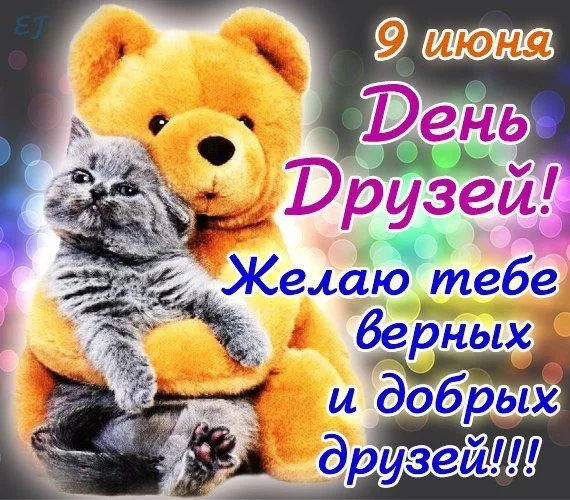 Открытка Открытки с днем друзей - Открытка с котенком: День рождения, поздравления | Красивая открытка #50