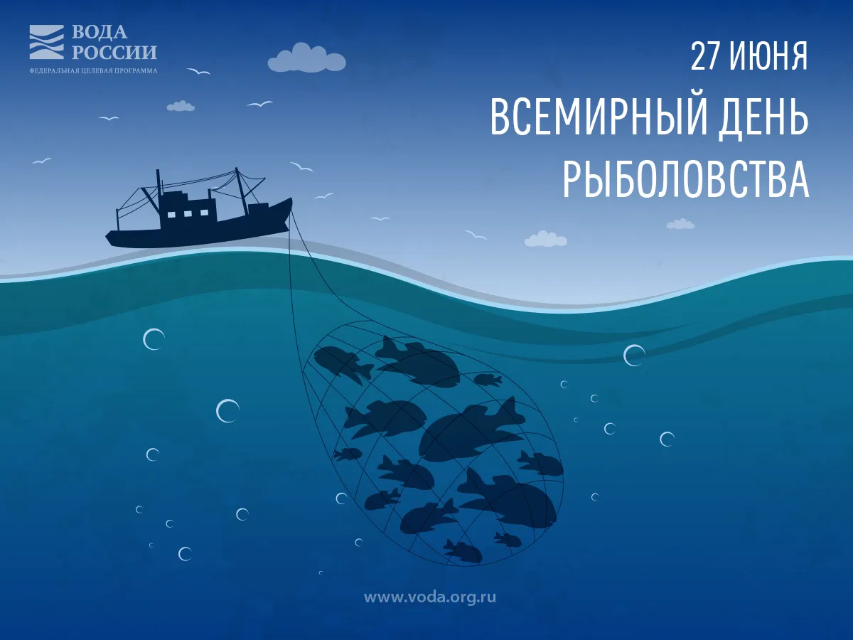 Открытка Всемирный день рыболовства - Открытка ко Дню Рыбака: сеть с рыбой | Красивая открытка #12