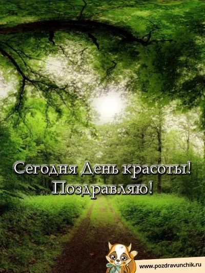 Открытка С днём красоты - Лесная тропинка: открытка с днем красоты | Красивая открытка #25