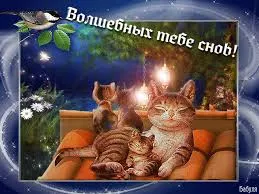 Открытка Открытки с пожеланиями на ночь - Кошка с котятами на крыше. Открытка с кошками. | Красивая открытка #192