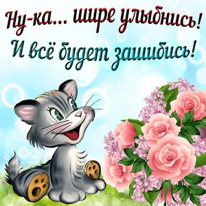 Открытка Улыбнись - Котенок с цветами: Открытка с милым котенком | Красивая открытка #156