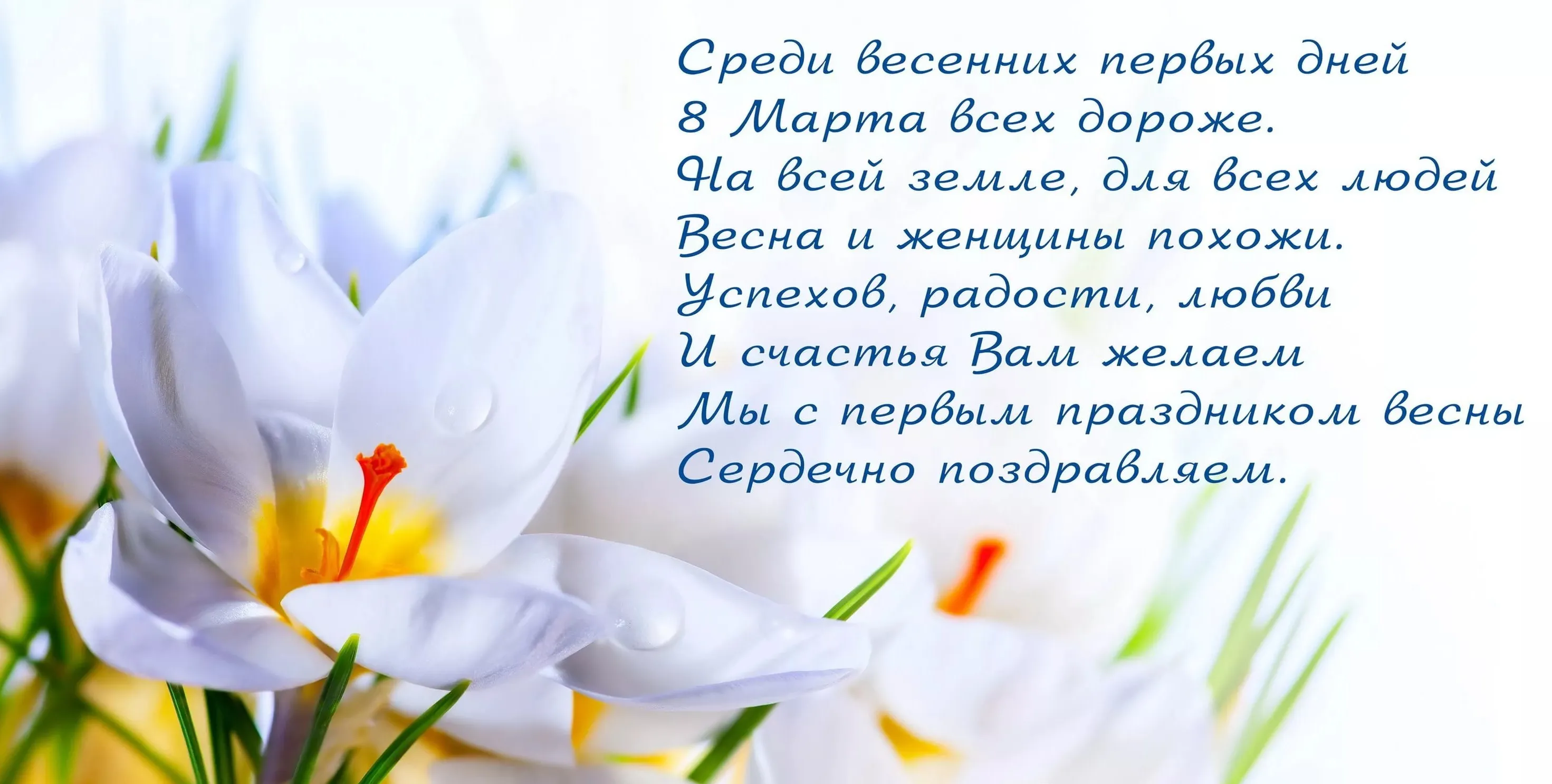 Открытка 8 марта - Открытка с цветами: поздравления с 8 марта | Красивая открытка #415