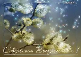 Открытка открытки с вербным воскресеньем  - Верба: нежная открытка с весенними ветками | Красивая открытка #82