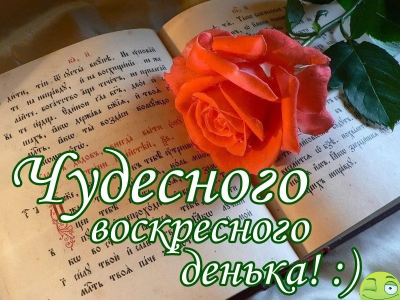 Открытка Удачного воскресенья - Чудесный день! Открытка с цветами и текстом | Красивая открытка #27