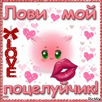 Открытка С поцелуями - Открытка с котиком и сердечками | Красивая открытка #24