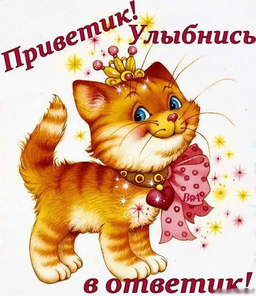 Открытка Привет - Рыжий кот с бантиком и короной: открытка с милым котенком | Красивая открытка #2