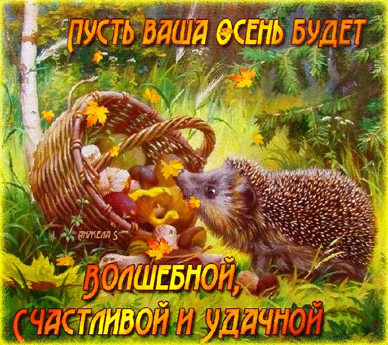 Открытка Первый день осени - Ёж с грибами в корзине: осенняя открытка | Красивая открытка #23