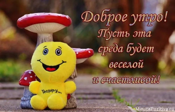 Открытка Открытки на среду - Открытка с грибами: плюшевый персонаж и природа | Красивая открытка #119