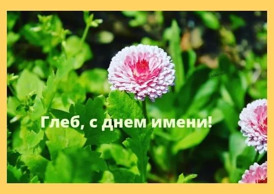 Открытка открытки с именем Глеб - Открытка с нежными цветами для Глеба | Красивая открытка #112